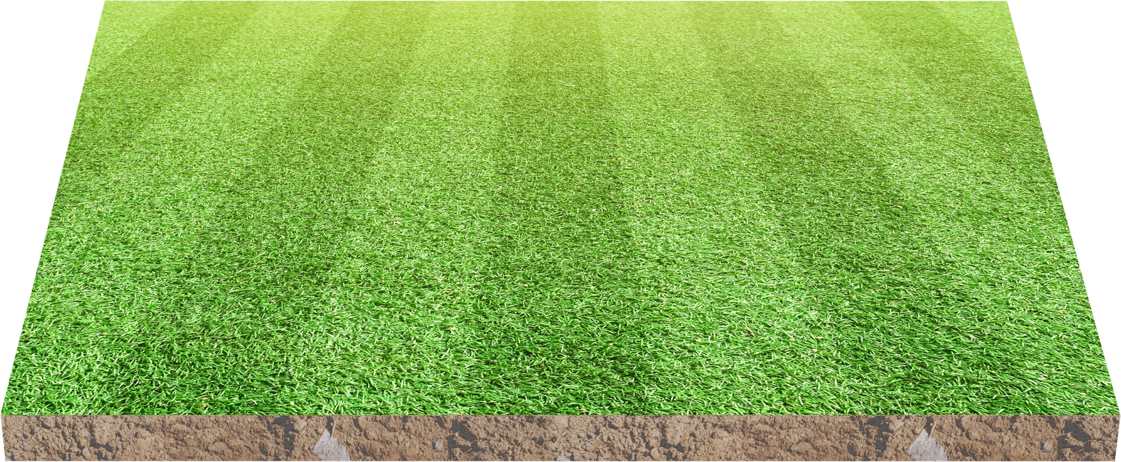 3D, Soccer or Football Field Isolated